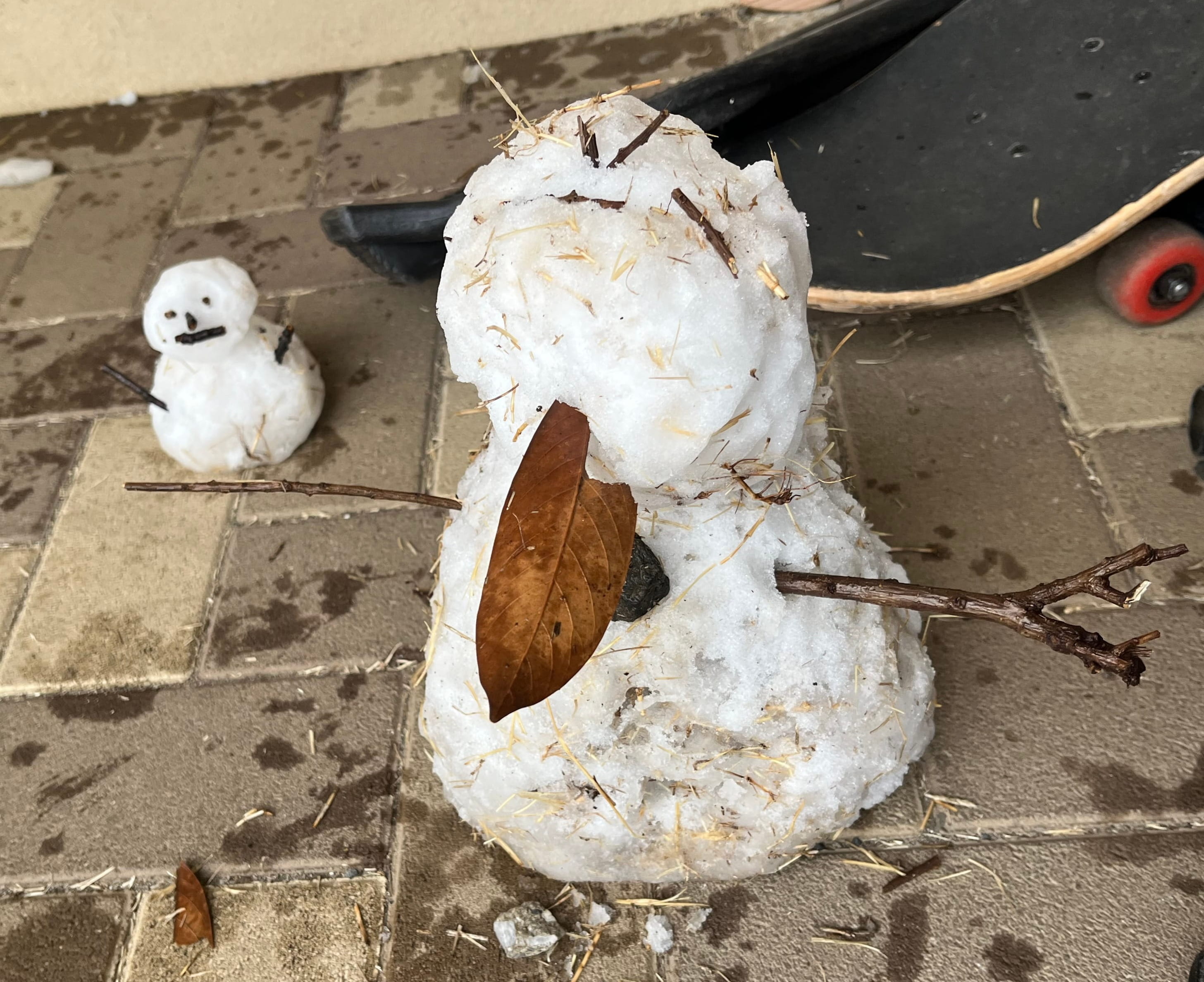 【二葉むさしが丘学園】★2027年度採用　 2/14（土）就職説明会★